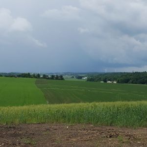 Meet your Posher, Al